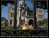 Rubber Duckie 02 09-26-07 marion.jpg