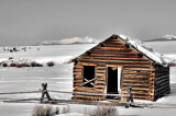 Montana cabin