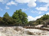 Hells Gate, Rotorua