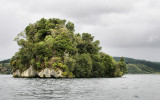 An island on Lake Rotoiti