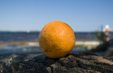 orange on the beach