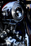 Harley 2.jpg