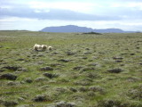 DSC02273.JPG