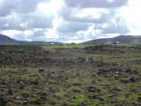 DSC03282.JPG