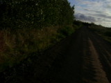 DSC03328.JPG