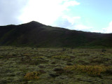 DSC03525.JPG