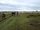 DSC03774.JPG