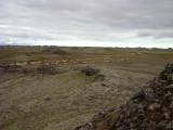 DSC03781.JPG