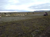 DSC03784.JPG