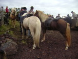DSC03815.JPG