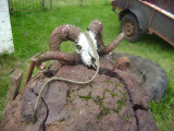 DSC03816.JPG