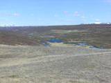 CIMG8511.JPG