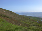 CIMG0033.JPG