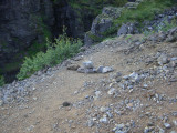 CIMG0334.JPG