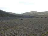 CIMG0794.JPG