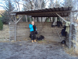 DSC00782.JPG