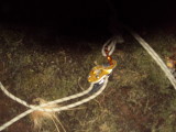 DSC01147.JPG