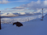 DSC01833.JPG