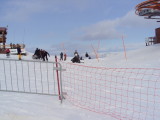DSC01881.JPG