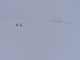 DSC02048.JPG