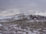 DSC02211.JPG