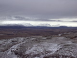 DSC02226.JPG