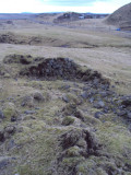 DSC02233.JPG