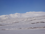 DSC02449.JPG