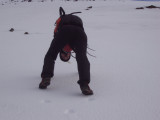 DSC02489.JPG