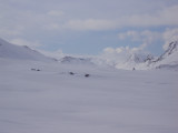 DSC02726.JPG