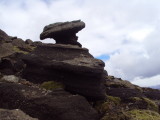 DSC03383.JPG
