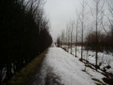 DSC07169.JPG