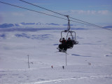 DSC07529.JPG