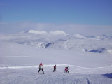 DSC07533.JPG
