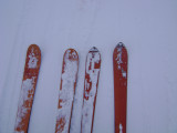 DSC07676.JPG