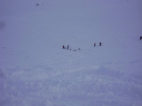 DSC07733.JPG