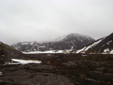 DSC08311.JPG