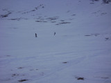 DSC08501.JPG