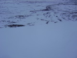 DSC08690.JPG