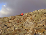 DSC08803.JPG