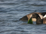IMG_1666.jpg