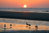IMG_8273a.jpg