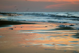 IMG_8887a.jpg