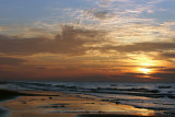 IMG_8895a.jpg