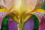 IMG_9220a.jpg
