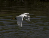 0267CR_1 CS 11x14.jpg