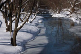 Brandywine River After Blizzard #2 (71)