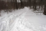 Cross Country Ski Trails