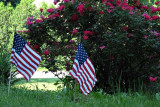 Memorial Day Display With Roses