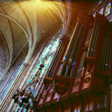 Organ under Light I